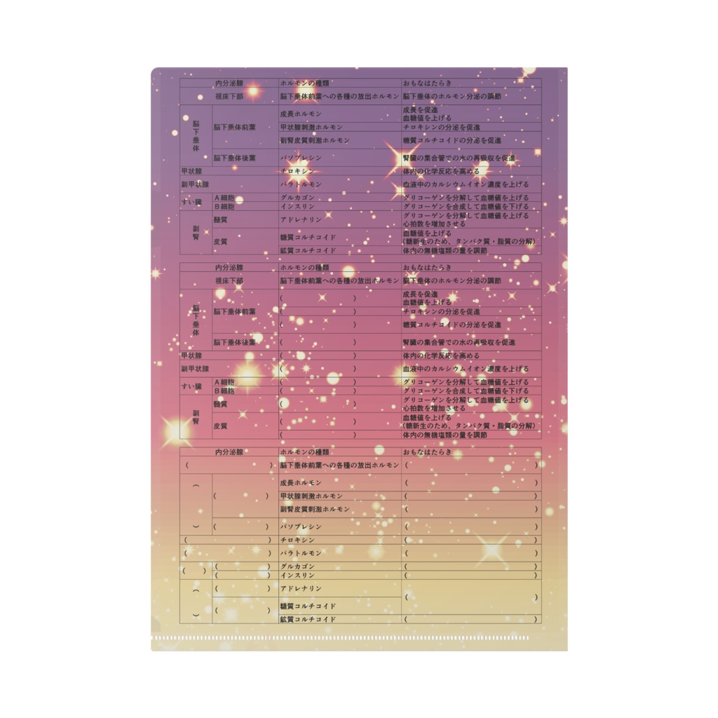 生物基礎 ホルモン 問題付 クリアファイル A4