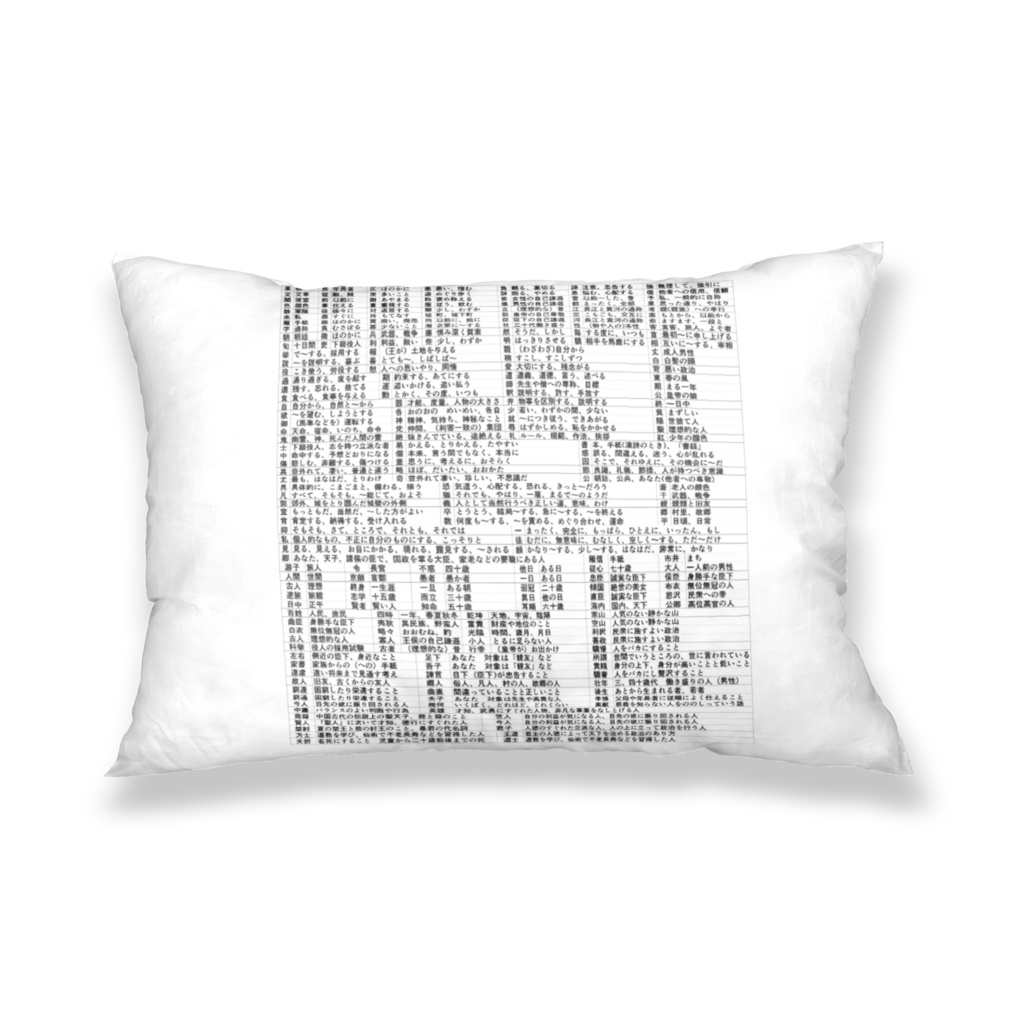 漢文単語枕カバー