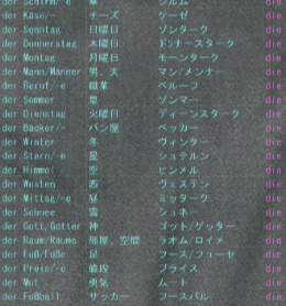 ドイツ語単語Tシャツ 男性女性中性別色分け フリガナつき 186語 Lサイズ