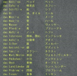 ドイツ語単語Tシャツ 男性女性中性別色分け フリガナつき 186語 Lサイズ