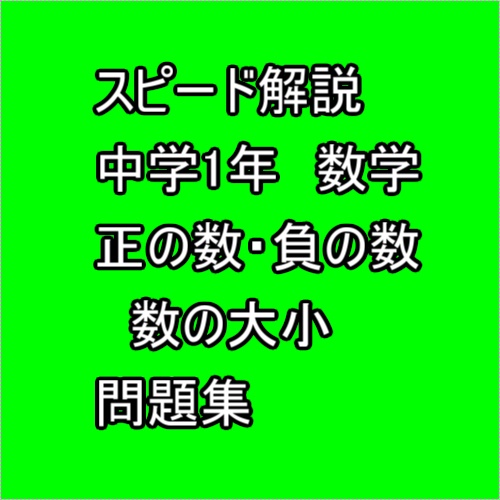 スピード解説　中学1年数学　正の数・負の数　数の大小　問題集