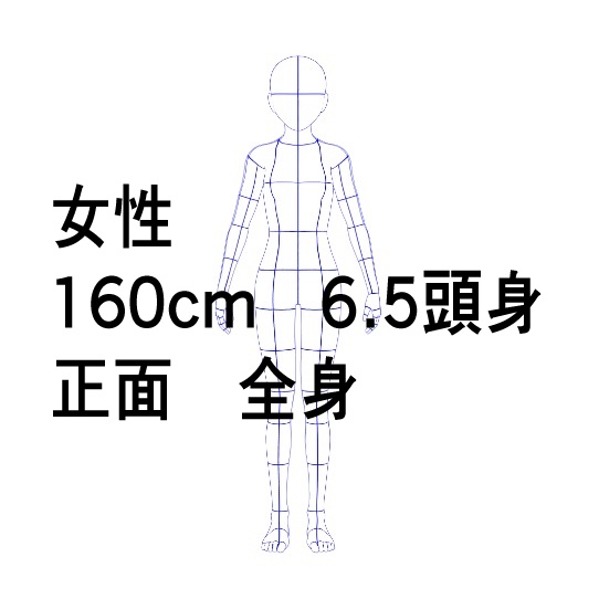 デッサン人形の線画(青色) 女性 160cm 6.5頭身 正面 全身 標準