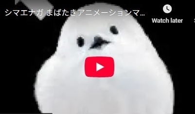 漢字が読めなかった子がたった数か月で読めるようになった話