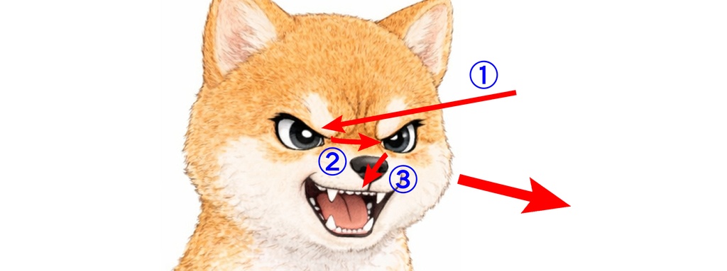 ネーム試行錯誤日記①