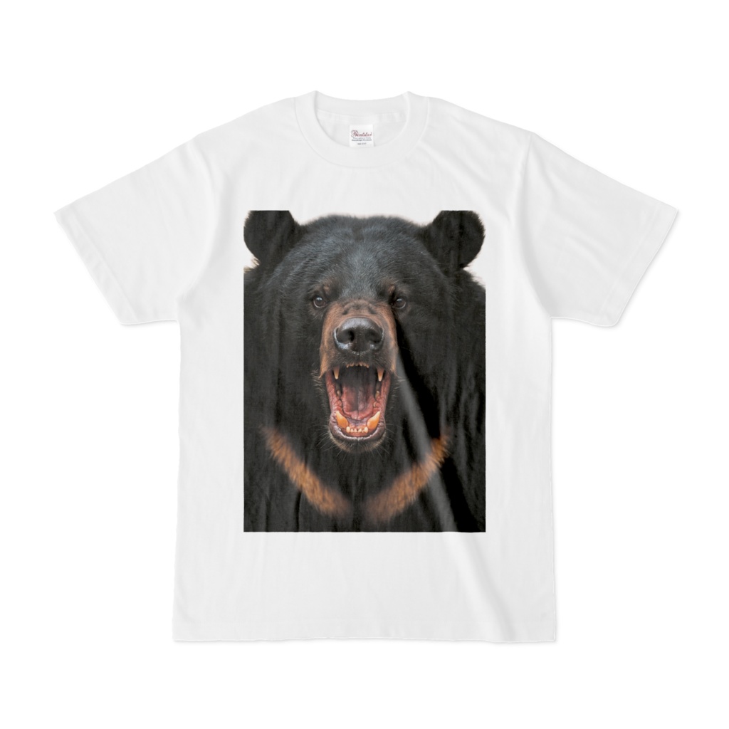 ツキノワグマ両面版