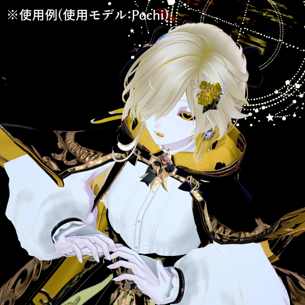 【アイテクスチャ】Pochi専用 ブラックアウト