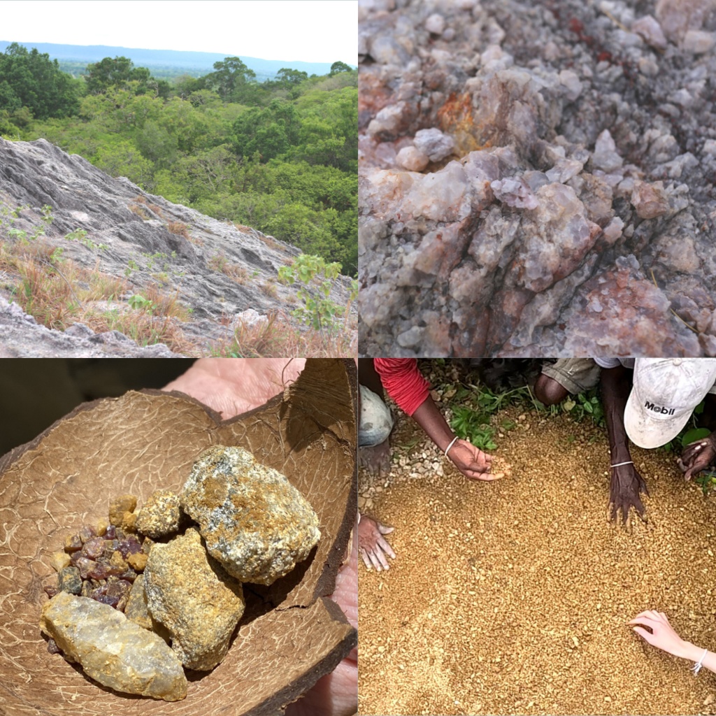 【オリジナルカード付き】スリランカ採集4点セット