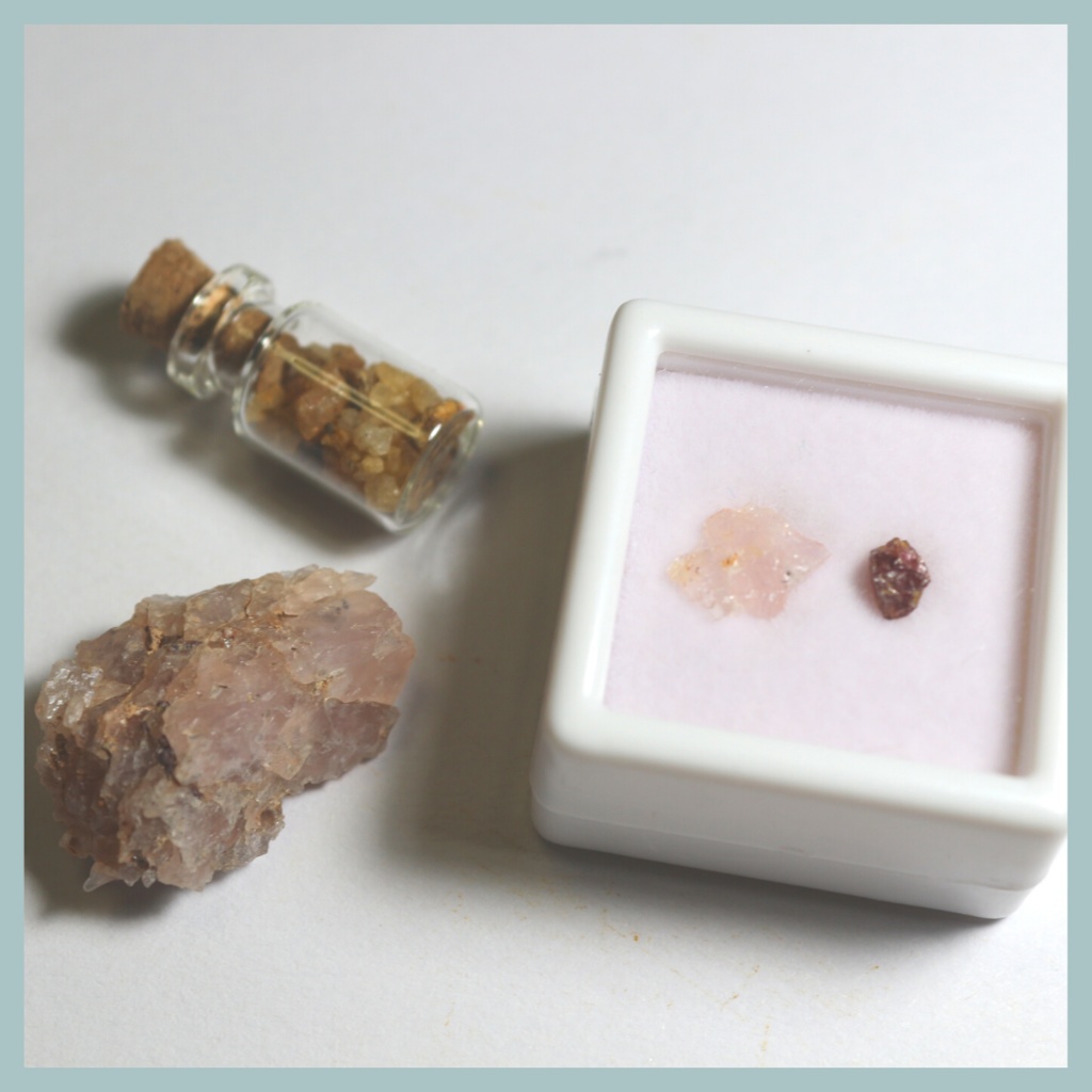 【オリジナルカード付き】スリランカ採集4点セット