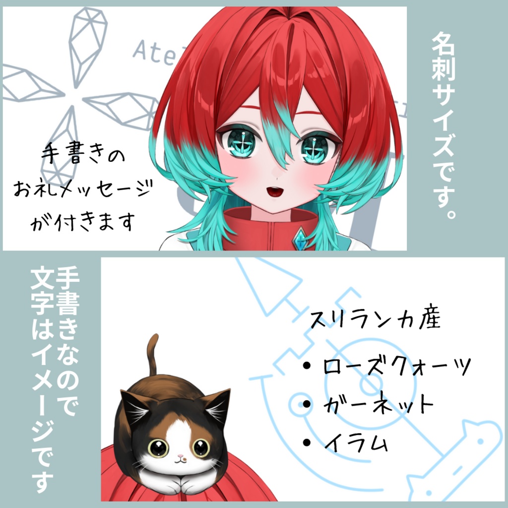 【オリジナルカード付き】スリランカ採集4点セット