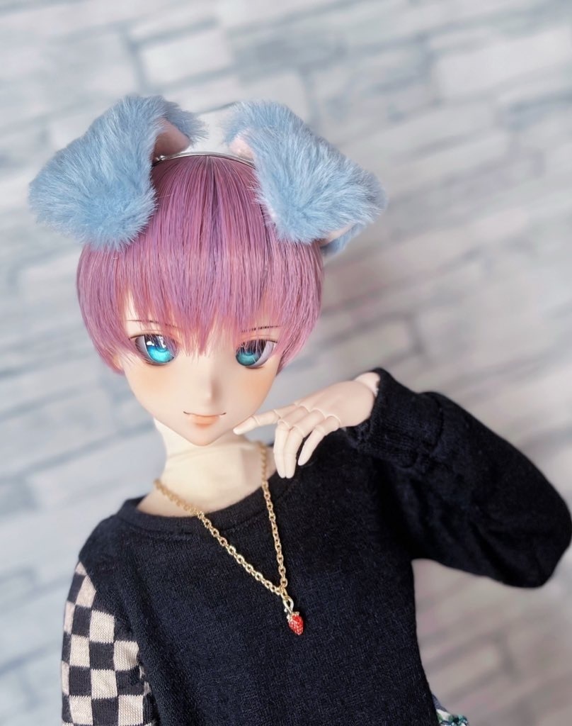 いぬみみ/カラーオーダー