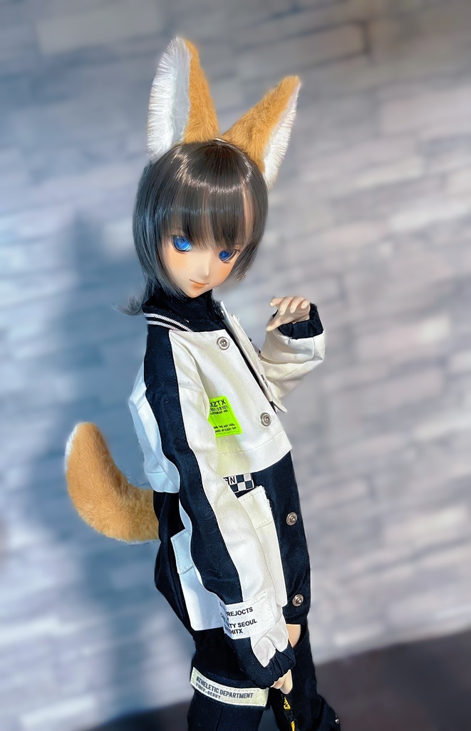 けもみみ&しっぽセット/柴犬