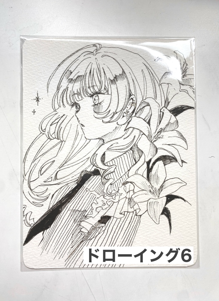 ドローイング✿6種