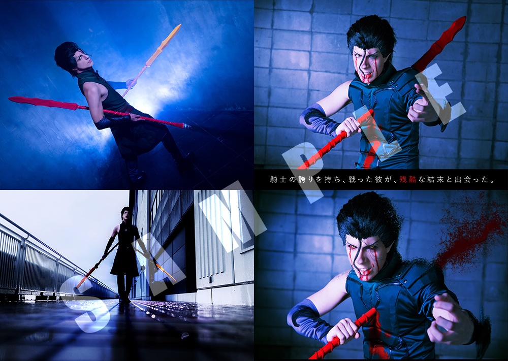 【Fate/Zero & FGO】CURSED CHARM・ディルムッドオンリー写真集