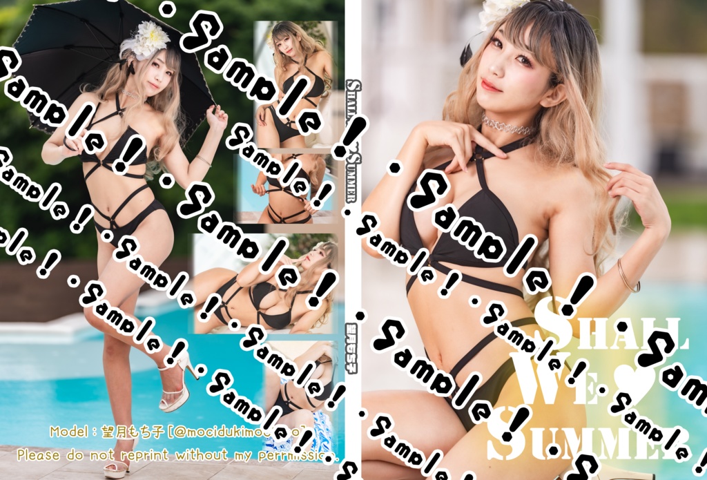 【アコスタマルシェ】ShallWesummer【水着グラビアROM】