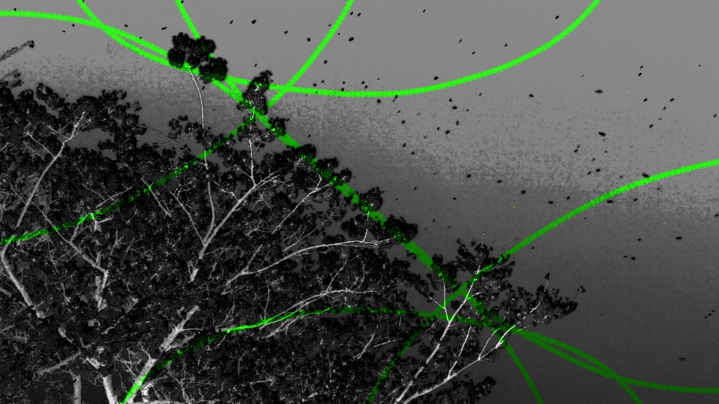【著作権フリー】 桜和風01 【無料だよˉ̡̠̭̭"( ⑉¯ །། ¯⑉ )ˉ̡̠̭̭"太っ腹~(自分で何言っとんじゃろ。こいつは)】
