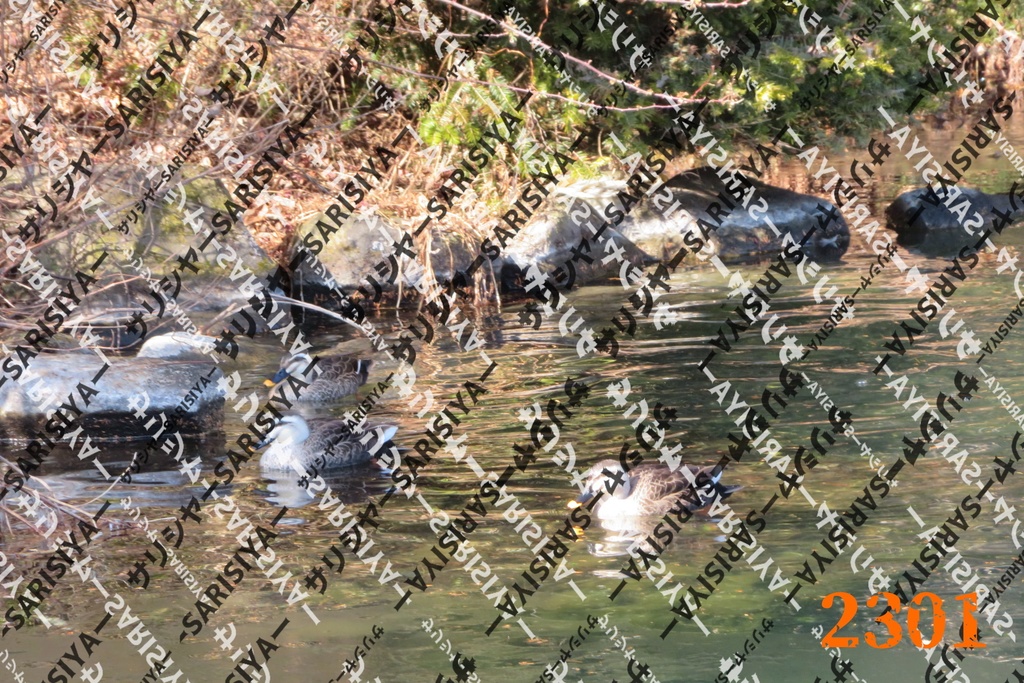 |お友達と行った場所| ~写真たち~