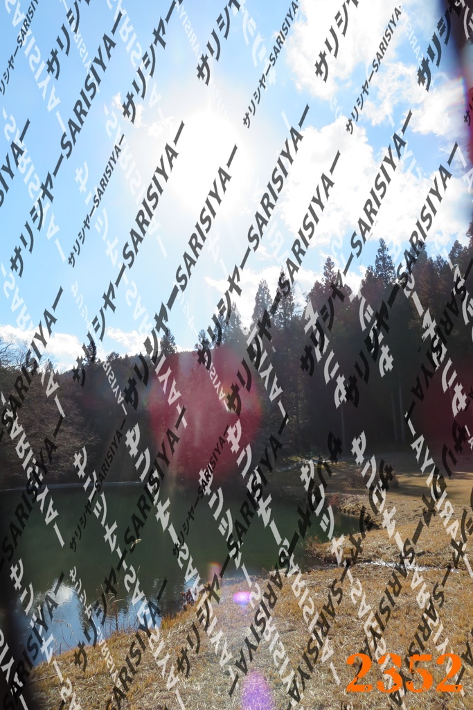 |お友達と行った場所| ~写真たち~