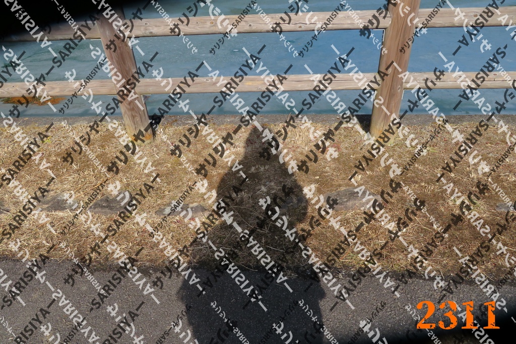 |お友達と行った場所| ~写真たち~