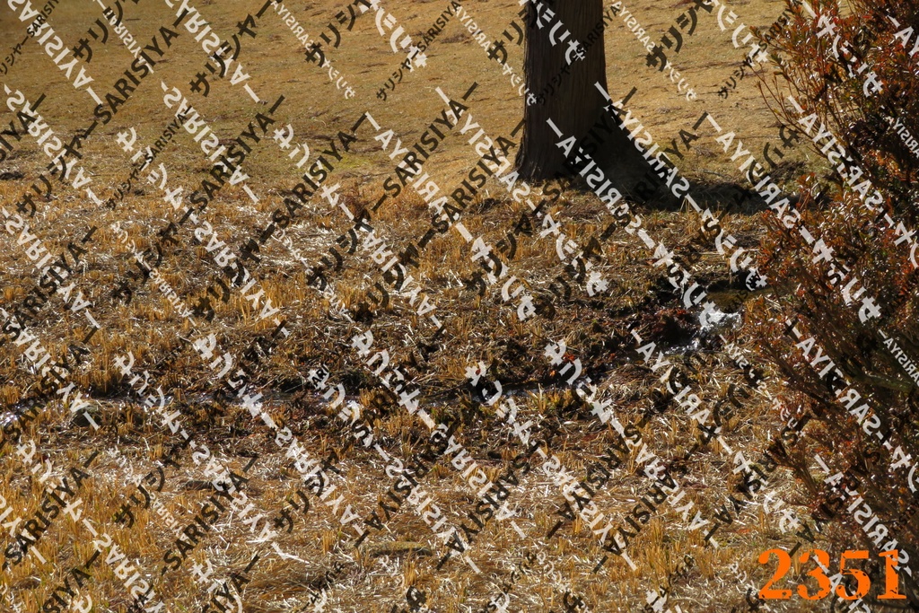 |お友達と行った場所| ~写真たち~