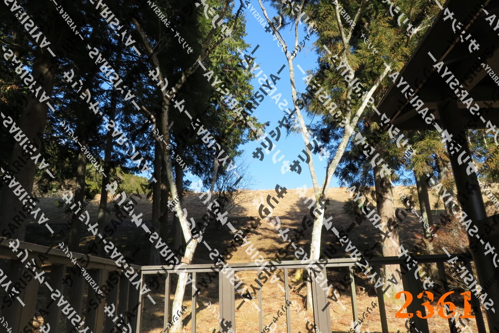 |お友達と行った場所| ~写真たち~