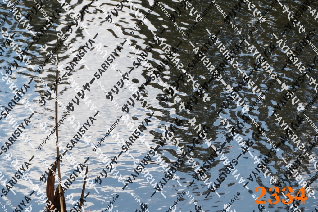 |お友達と行った場所| ~写真たち~