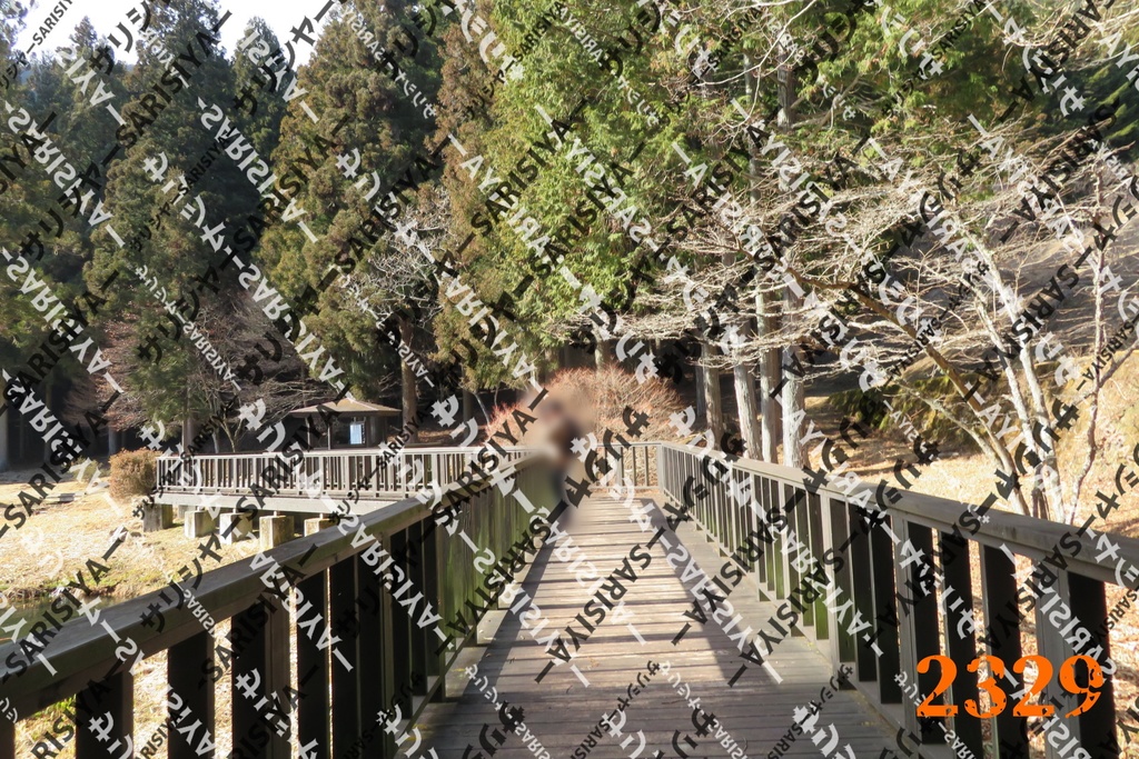 |お友達と行った場所| ~写真たち~