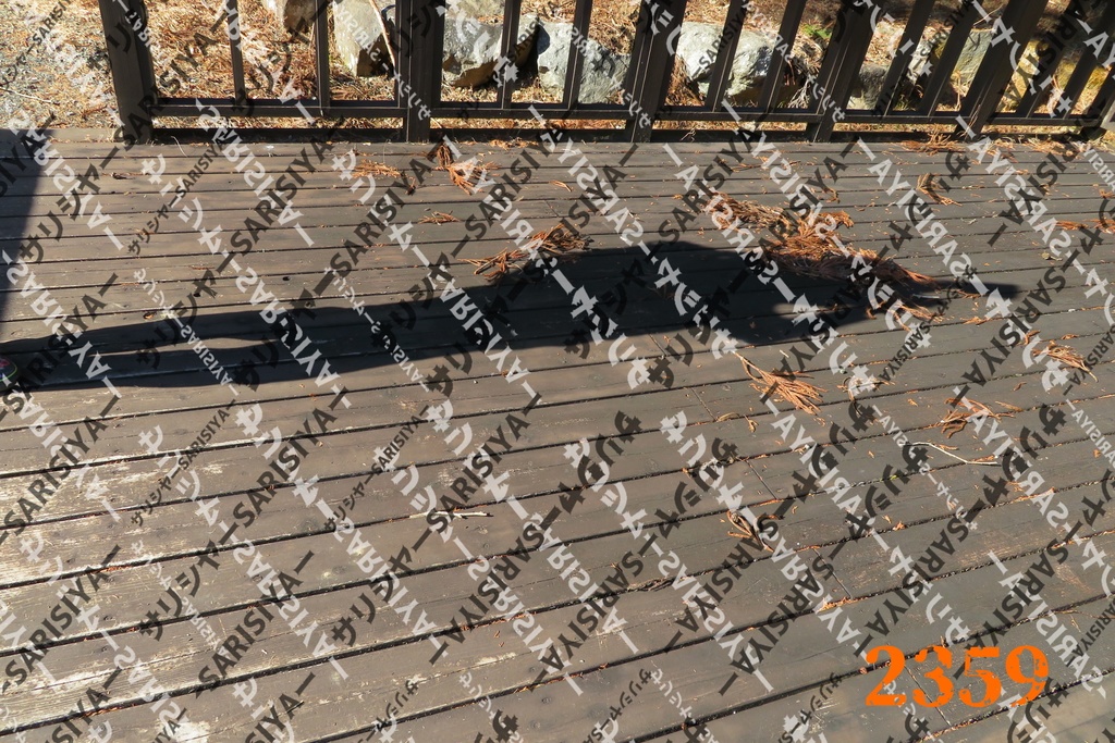 |お友達と行った場所| ~写真たち~