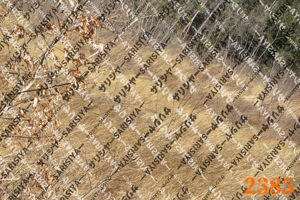 |お友達と行った場所| ~写真たち~