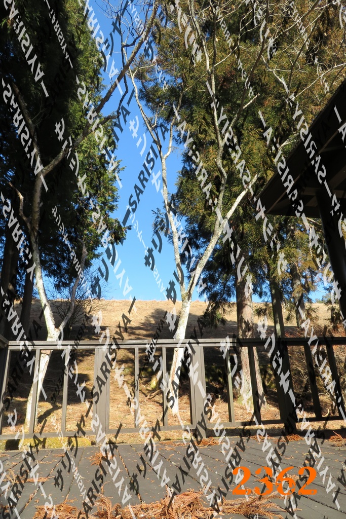 |お友達と行った場所| ~写真たち~