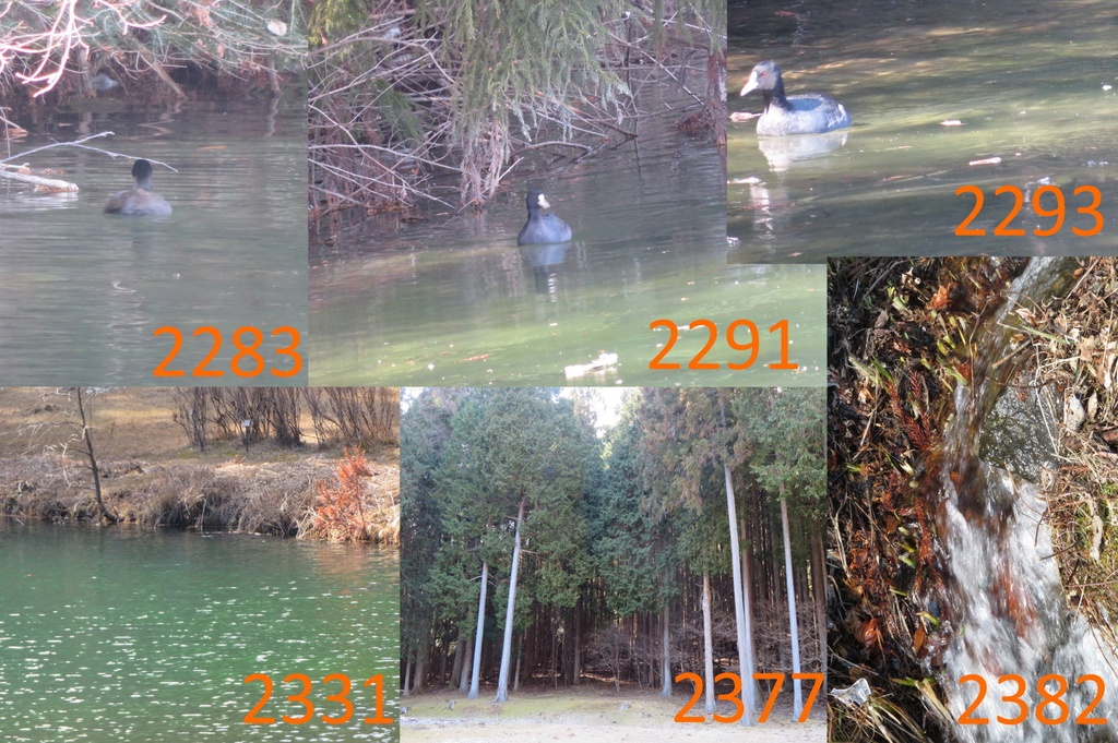 |お友達と行った場所| ~写真たち~