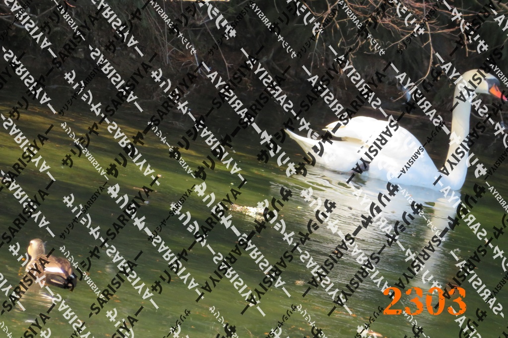 |お友達と行った場所| ~写真たち~