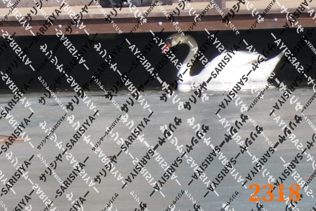 |お友達と行った場所| ~写真たち~