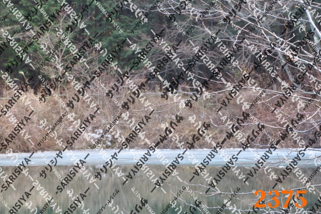 |お友達と行った場所| ~写真たち~