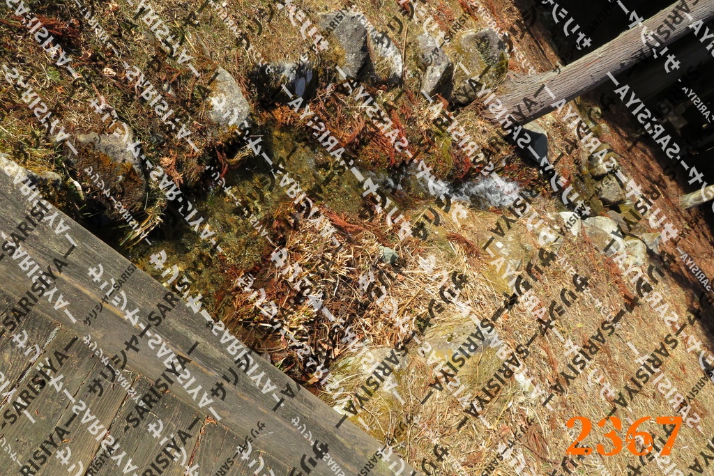 |お友達と行った場所| ~写真たち~