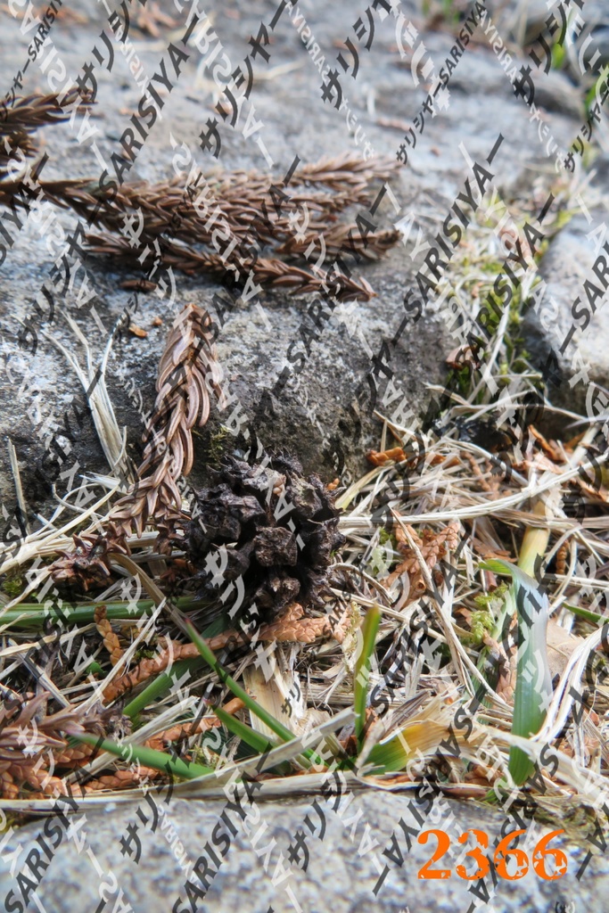 |お友達と行った場所| ~写真たち~