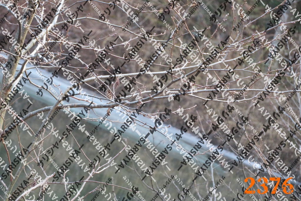 |お友達と行った場所| ~写真たち~