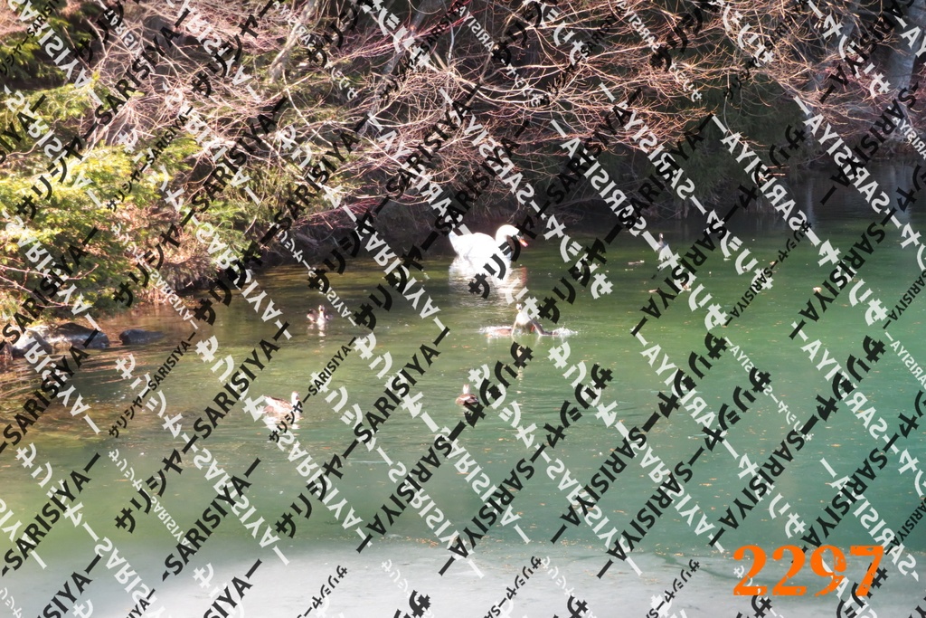 |お友達と行った場所| ~写真たち~