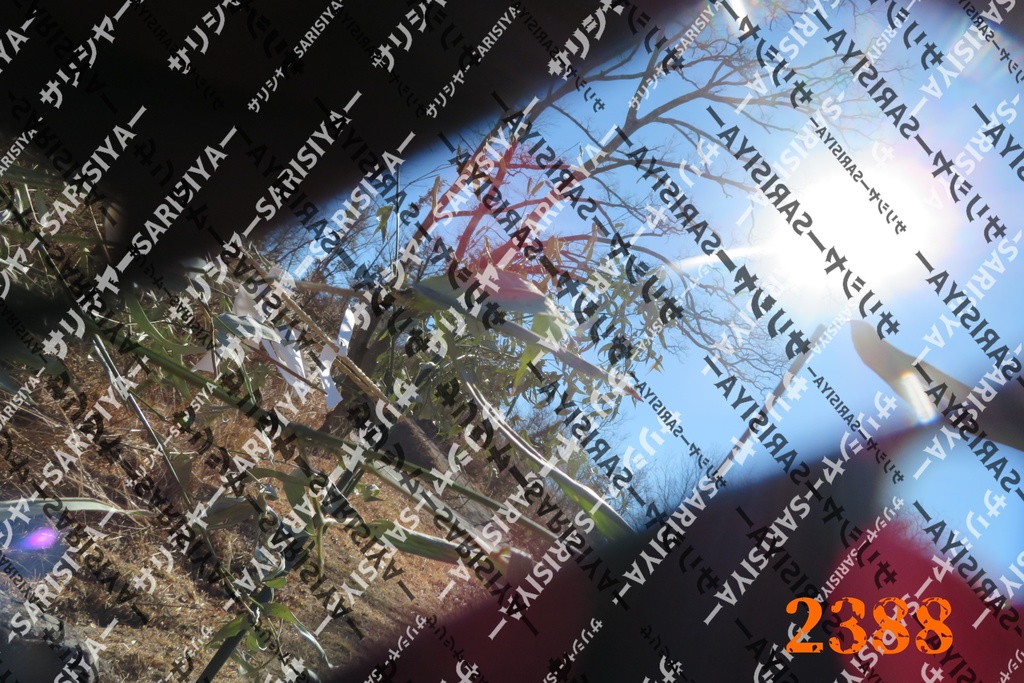 |お友達と行った場所| ~写真たち~