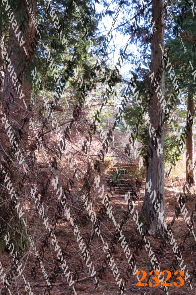 |お友達と行った場所| ~写真たち~