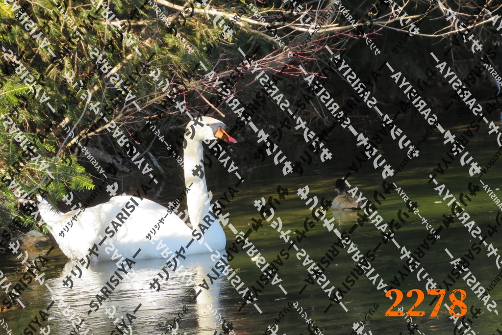 |お友達と行った場所| ~写真たち~