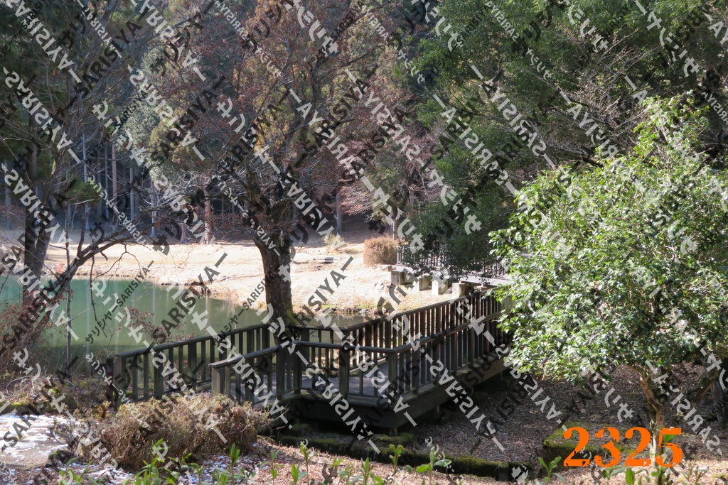 |お友達と行った場所| ~写真たち~