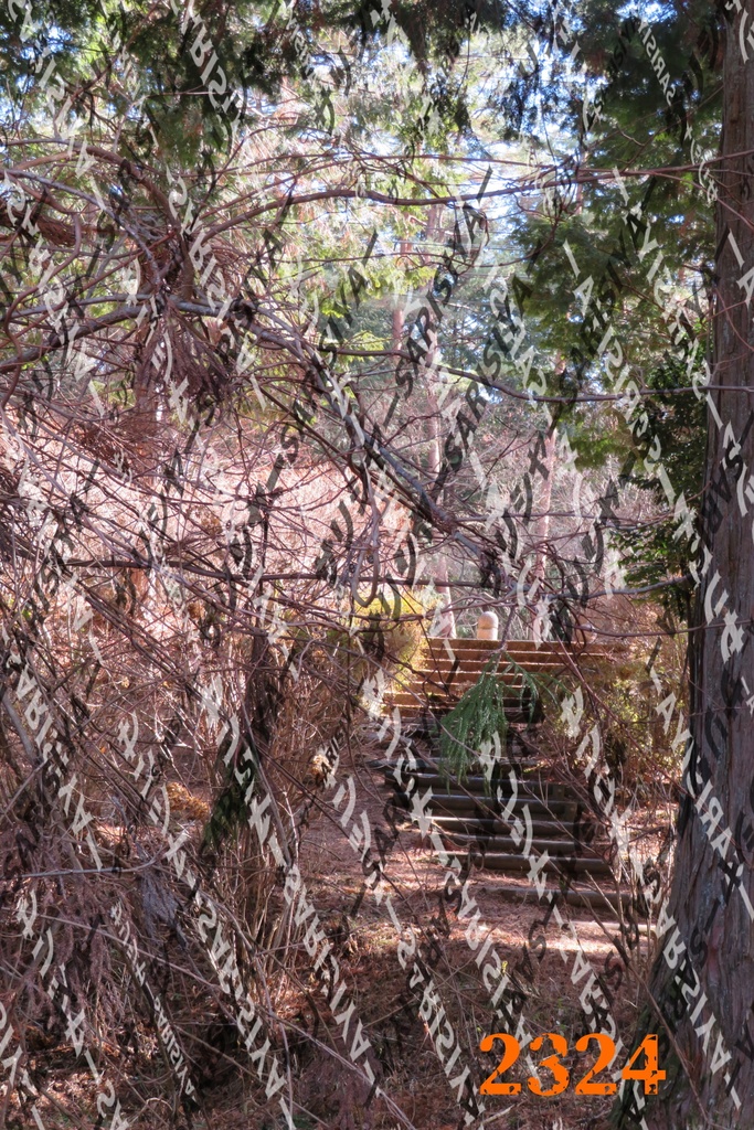 |お友達と行った場所| ~写真たち~