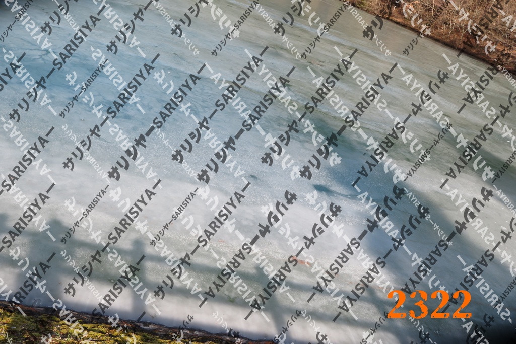 |お友達と行った場所| ~写真たち~