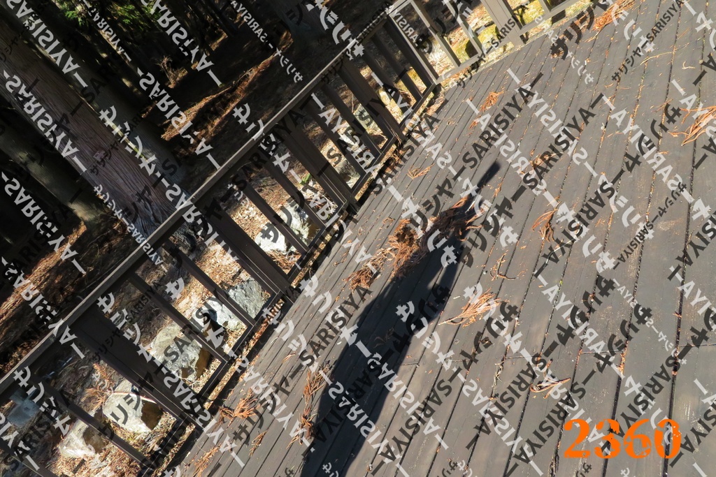 |お友達と行った場所| ~写真たち~