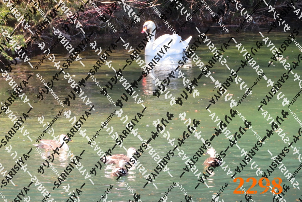 |お友達と行った場所| ~写真たち~