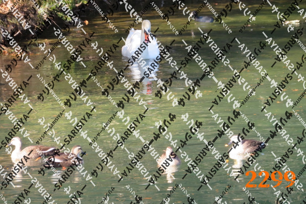 |お友達と行った場所| ~写真たち~