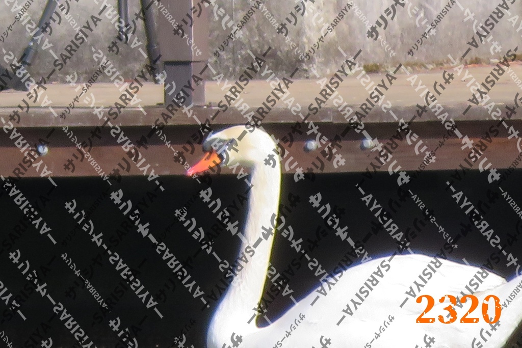 |お友達と行った場所| ~写真たち~