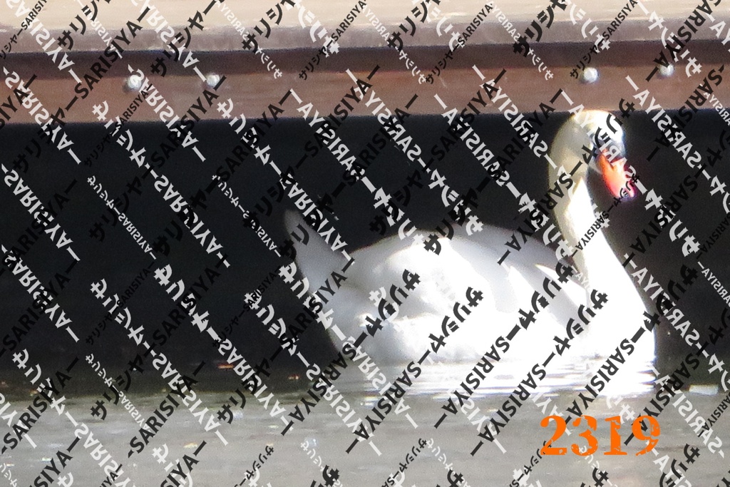 |お友達と行った場所| ~写真たち~