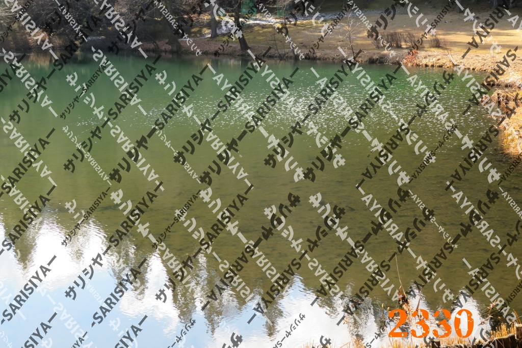 |お友達と行った場所| ~写真たち~