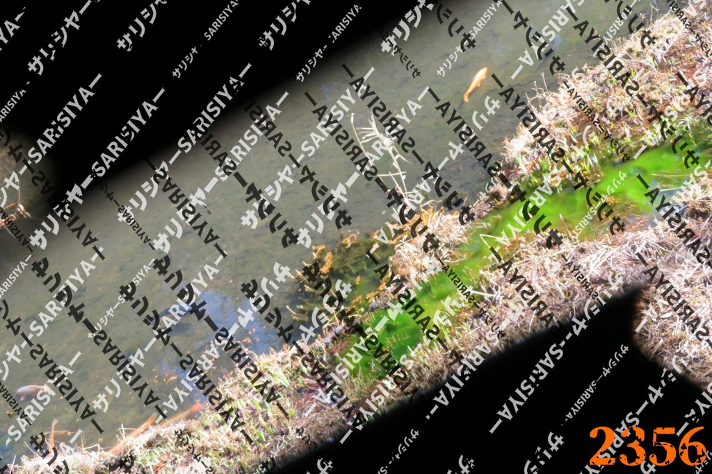 |お友達と行った場所| ~写真たち~